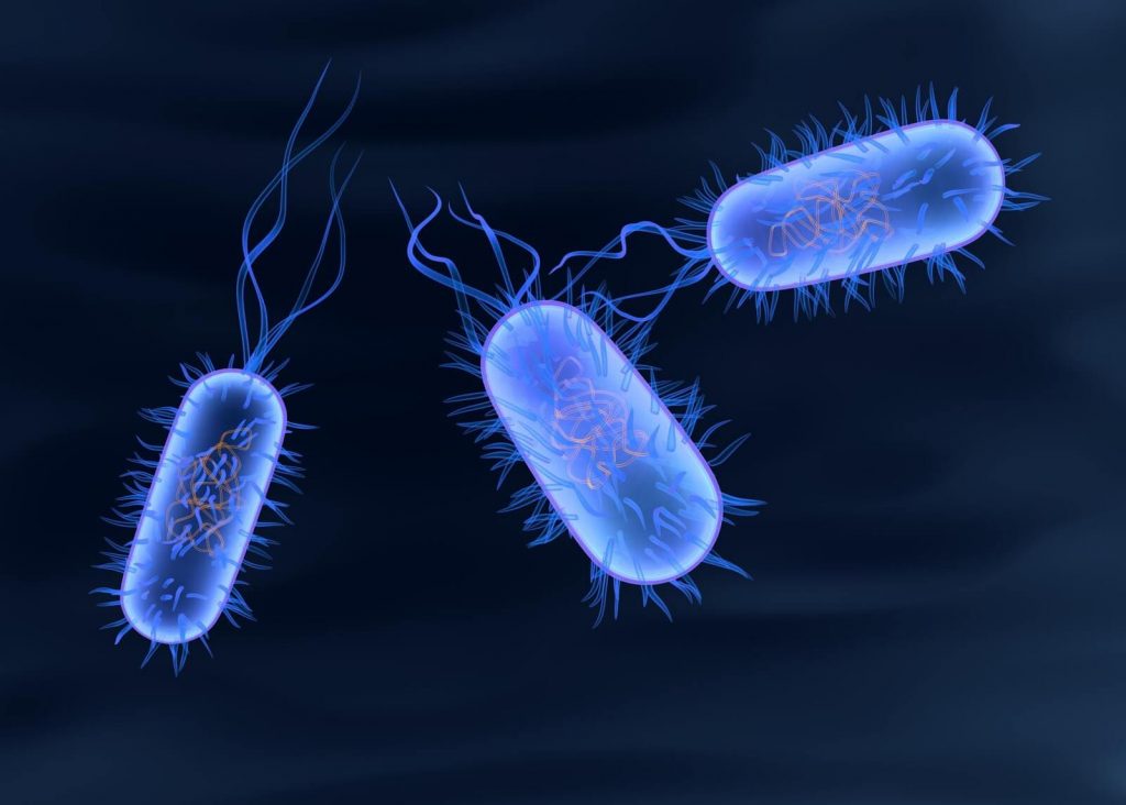 Ulusal Salmonella Kontrol Programı Hakkında …